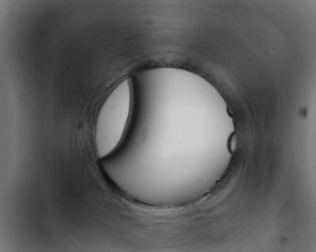 X0000103420040200809121023