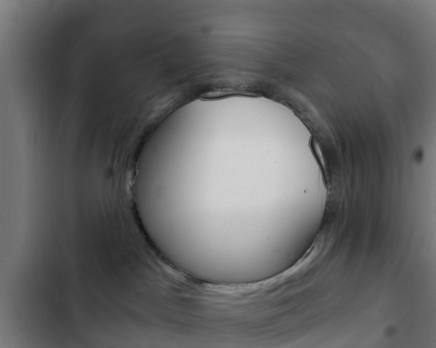X0000103420045200809121023
