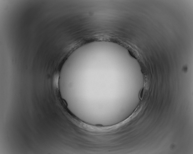 X0000103420047200809121023