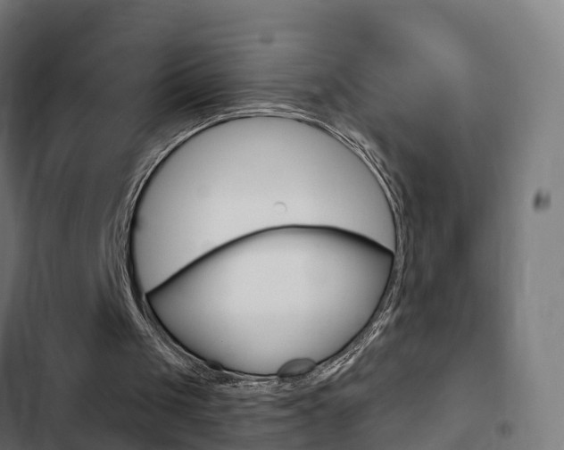 X0000103420049200809121022