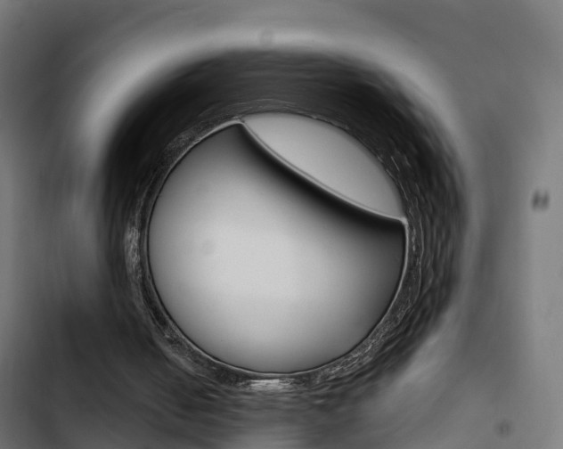 X0000103420050200809121022