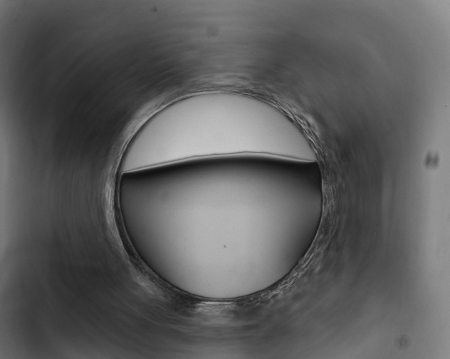 X0000103420051200809121022