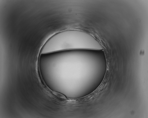 X0000103420052200809121022