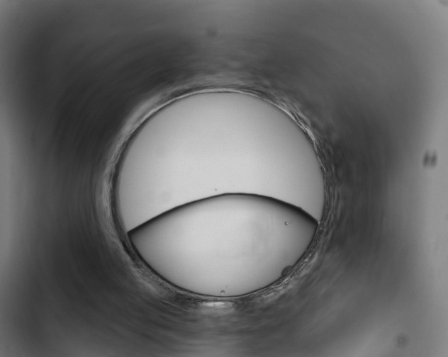 X0000103420053200809121022