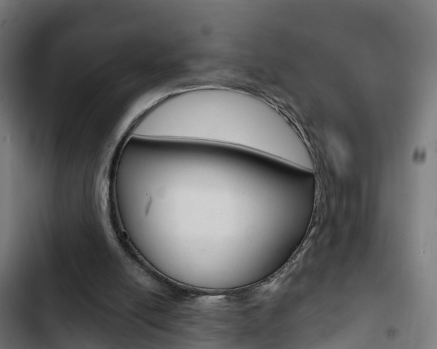 X0000103420054200809121022