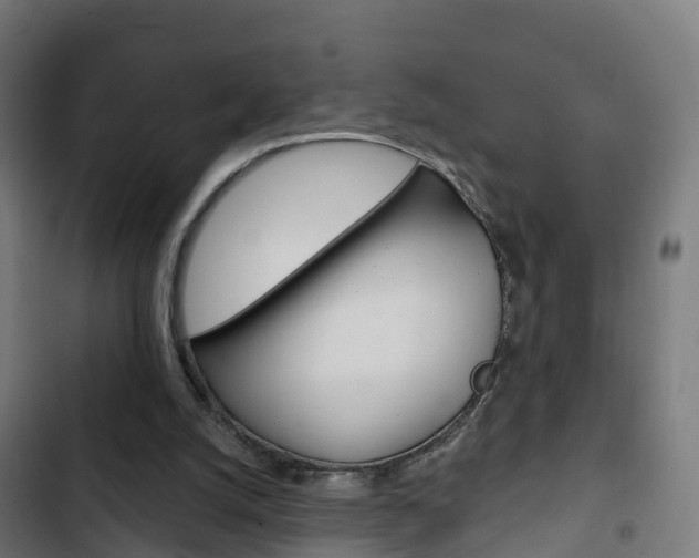 X0000103420056200809121022