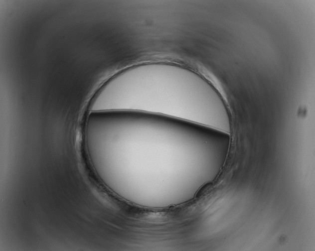 X0000103420059200809121022