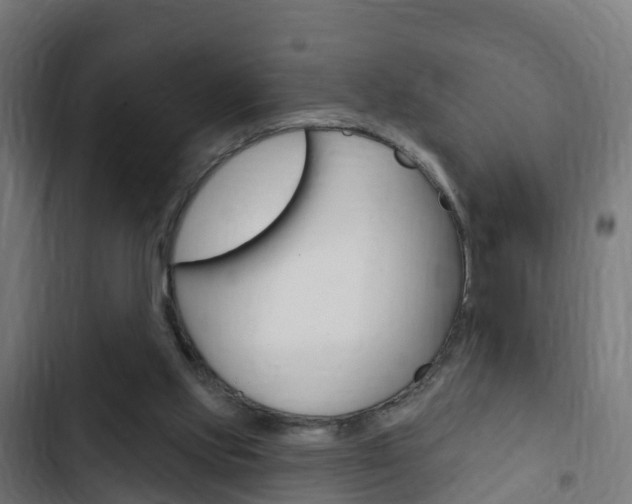 X0000103420061200809121022