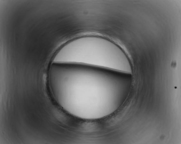 X0000103420063200809121022