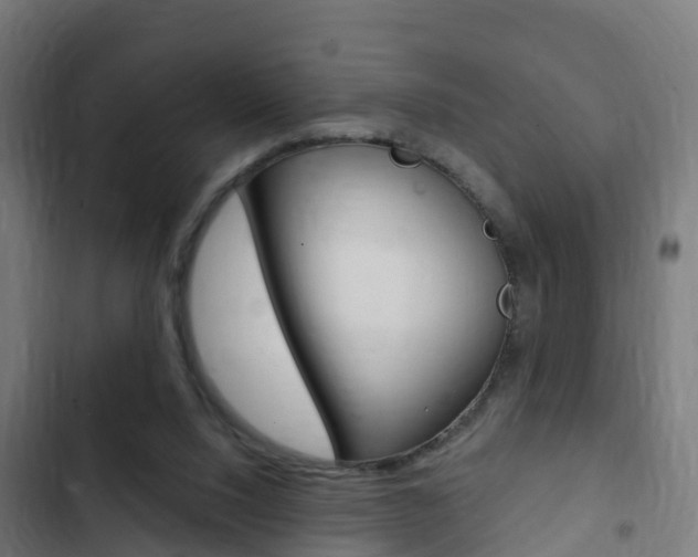 X0000103420064200809121022