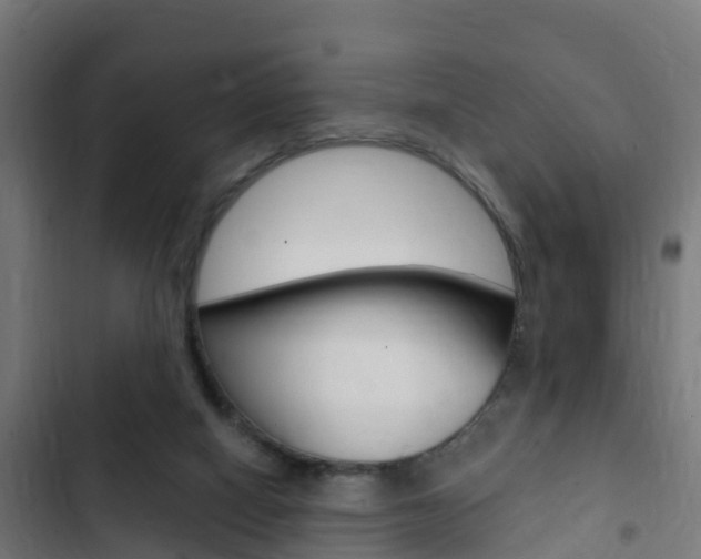 X0000103420066200809121022