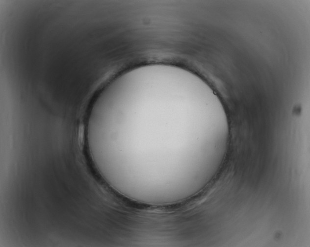 X0000103420067200809121022