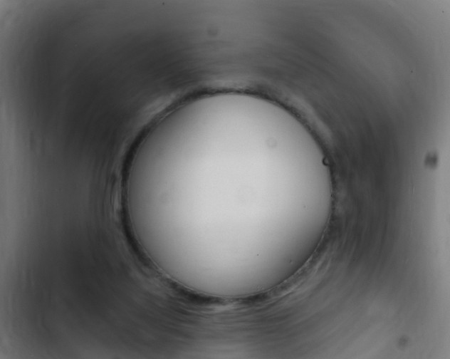 X0000103420068200809121022