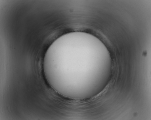 X0000103420074200809121022