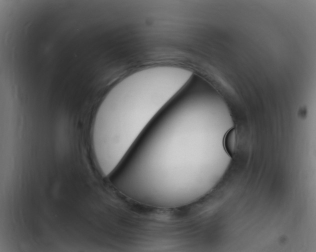 X0000103420076200809121022