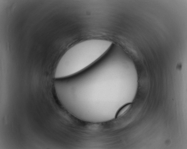 X0000103420079200809121022