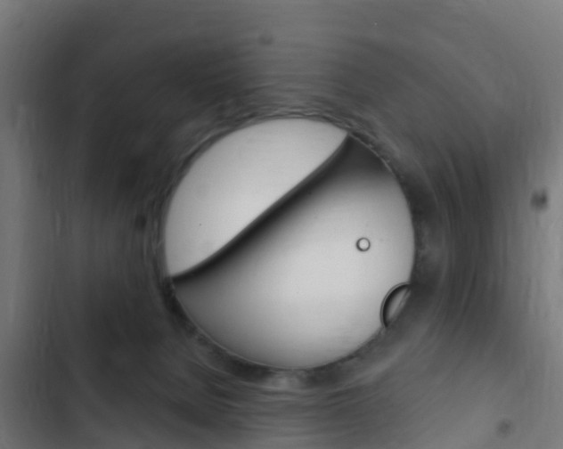 X0000103420080200809121023
