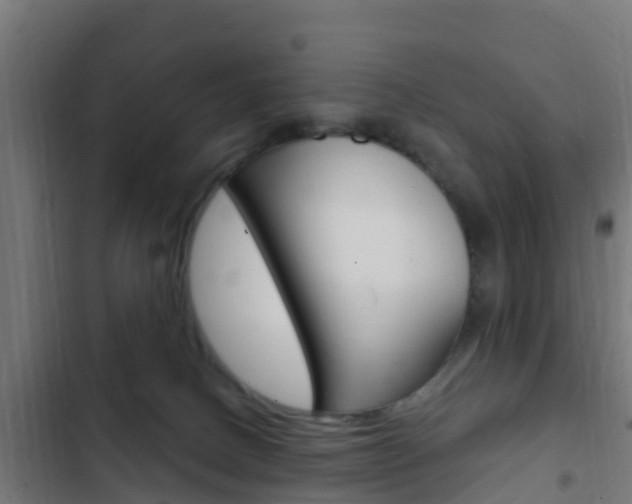 X0000103420082200809121023