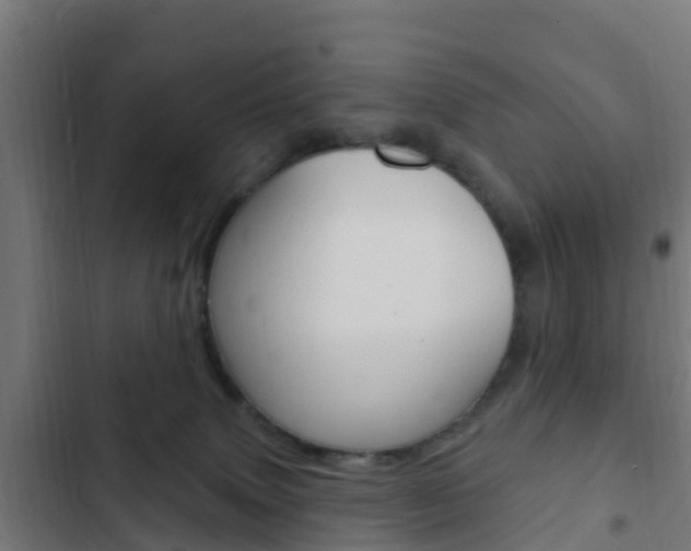 X0000103420083200809121023