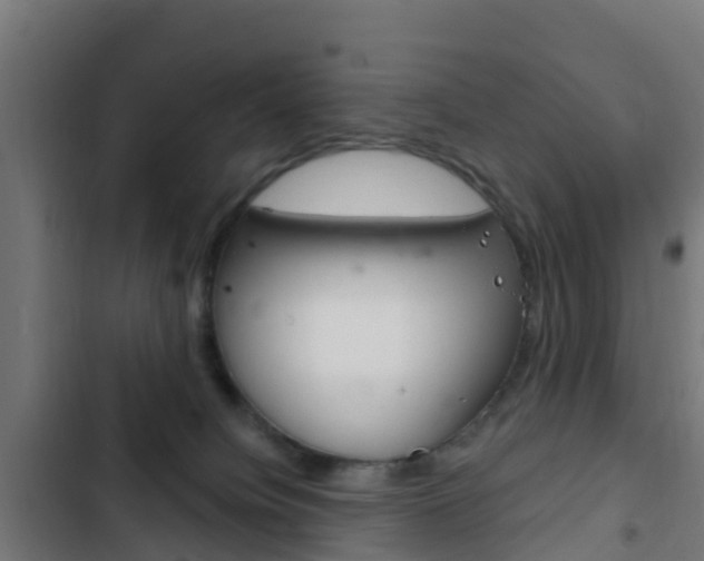 X0000103420084200809121023