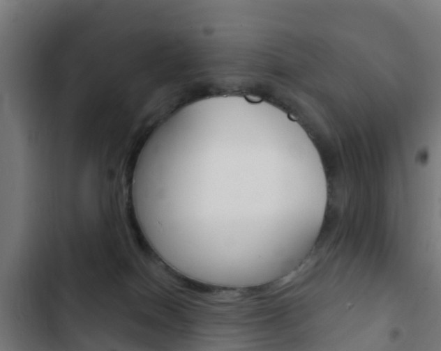 X0000103420086200809121023