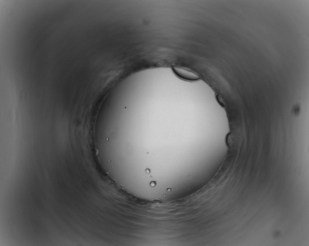 X0000103420088200809121023
