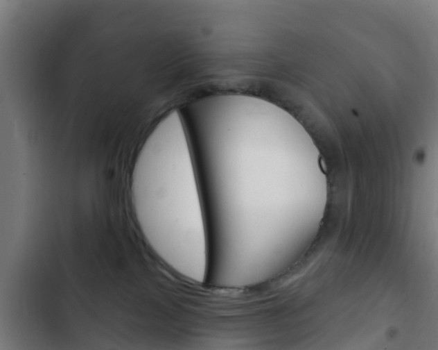 X0000103420089200809121023