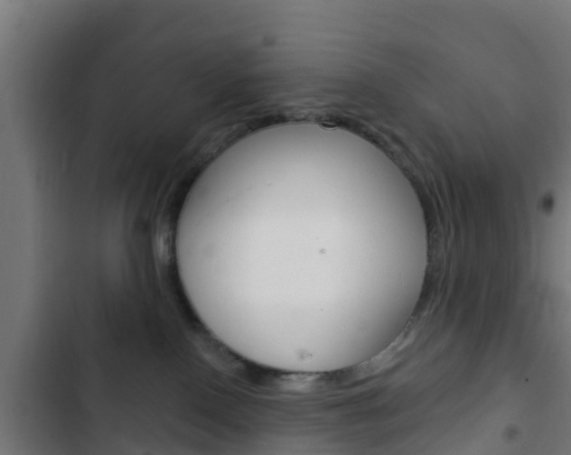 X0000103420090200809121023