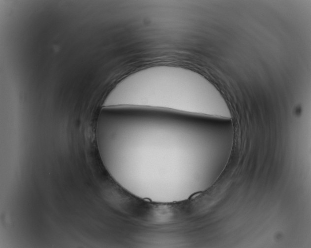 X0000103420091200809121023