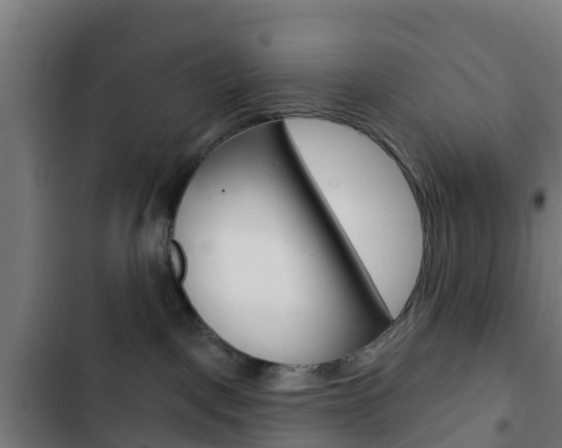 X0000103420093200809121023