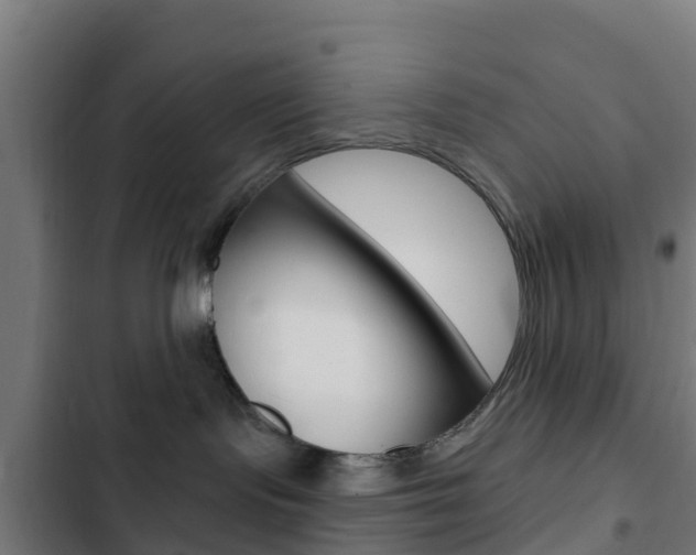 X0000103420095200809121023