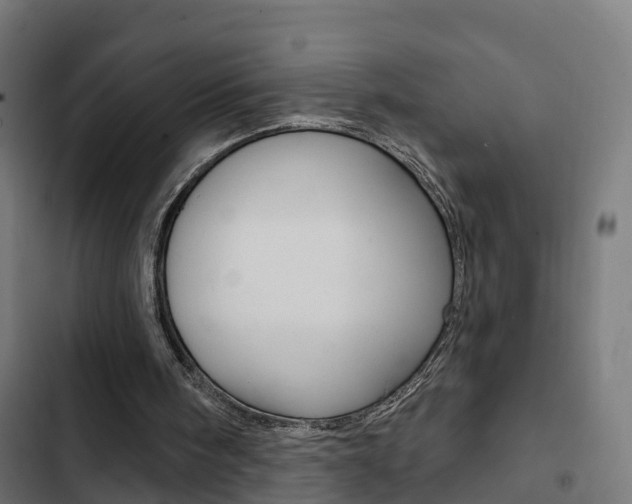 X0000103420098200809121022