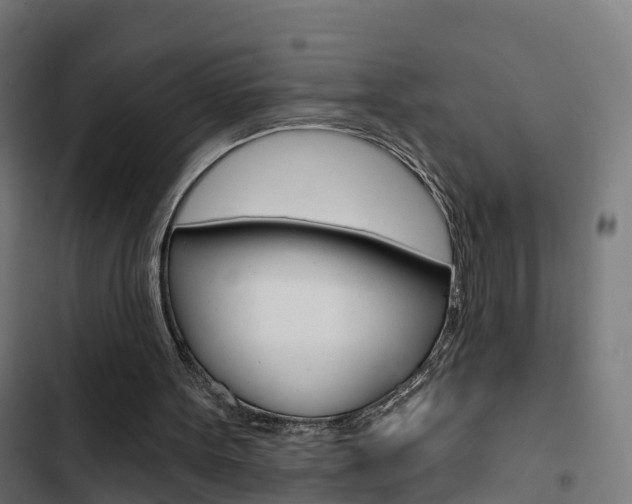 X0000103420099200809121022