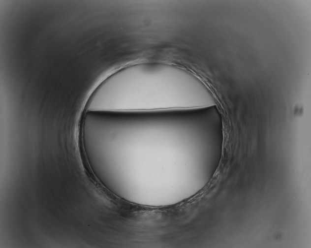 X0000103420100200809121022