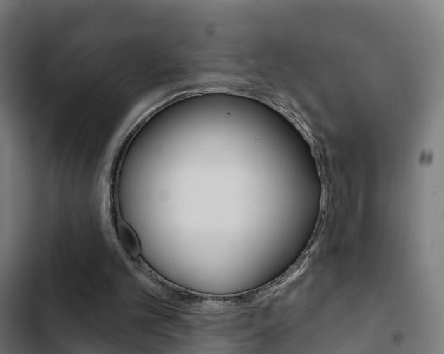 X0000103420101200809121022