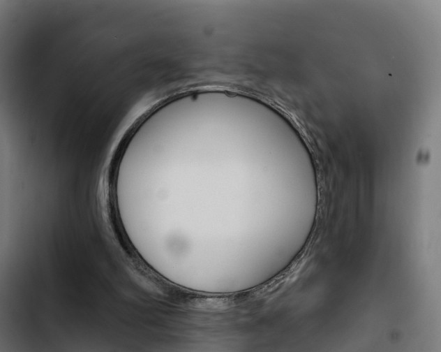 X0000103420102200809121022