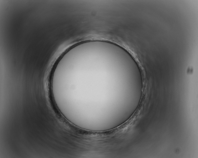 X0000103420103200809121022