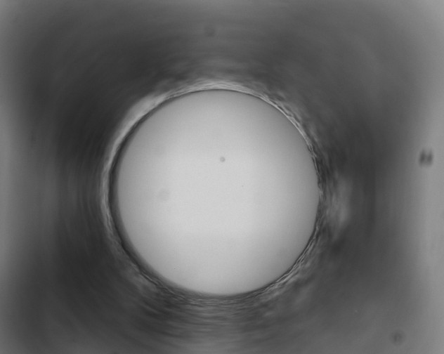 X0000103420104200809121022