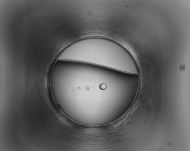X0000103420105200809121022