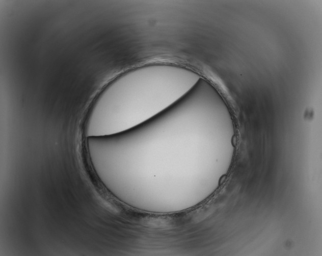 X0000103420106200809121022