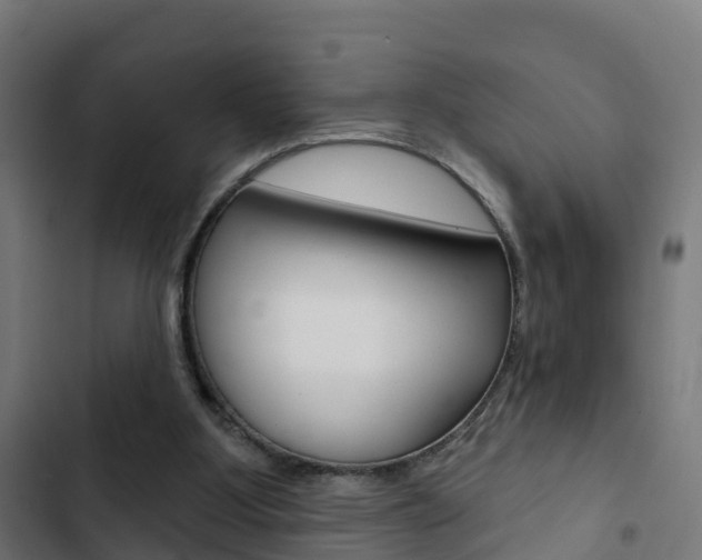 X0000103420107200809121022