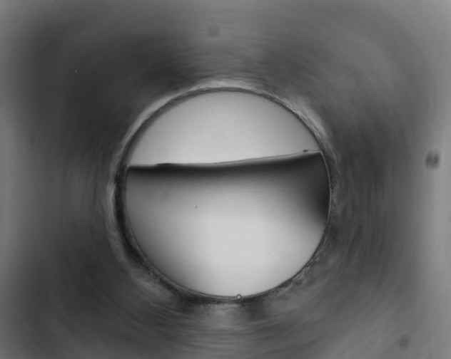 X0000103420108200809121022