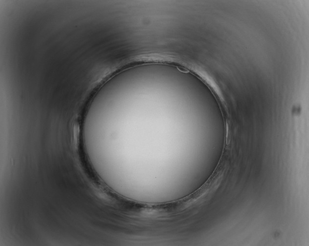 X0000103420109200809121022