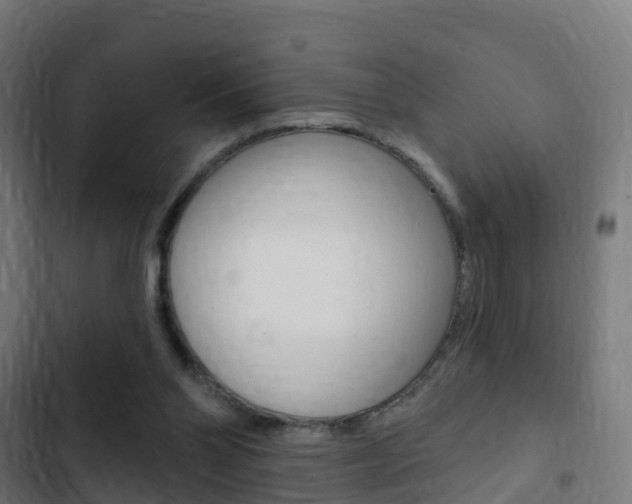 X0000103420110200809121022