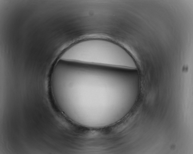 X0000103420111200809121022