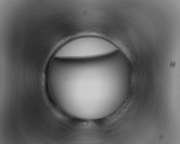 X0000103420112200809121022