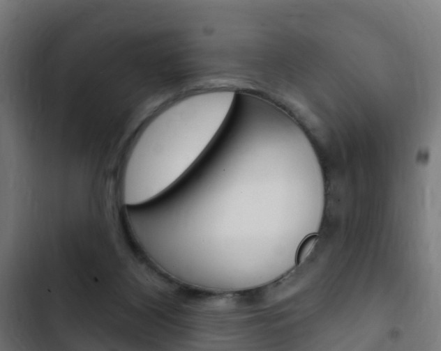 X0000103420116200809121021
