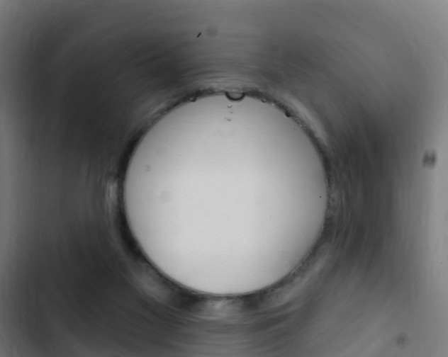 X0000103420117200809121021