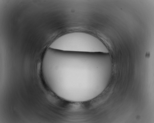 X0000103420118200809121021