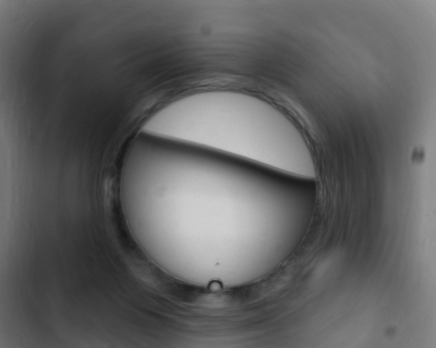 X0000103420119200809121021